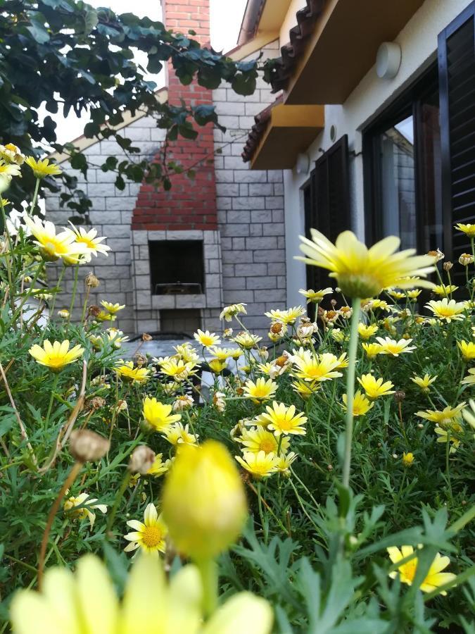 Apartments Eliva Umag Exterior photo