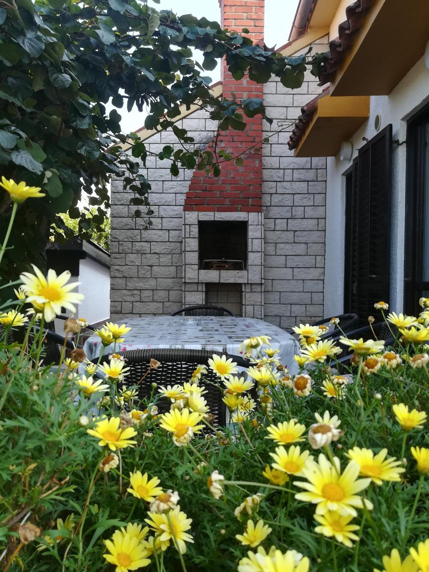Apartments Eliva Umag Exterior photo